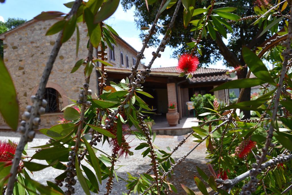 Agriturismo La Ghiraia Santa Luce Ruang foto