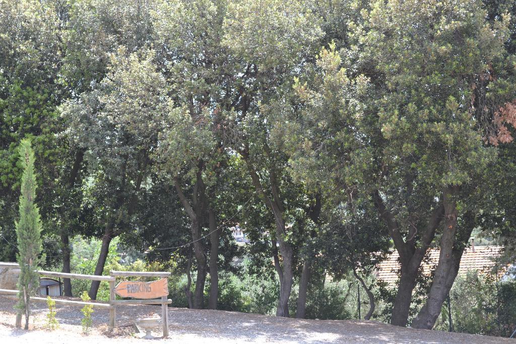 Agriturismo La Ghiraia Santa Luce Bagian luar foto