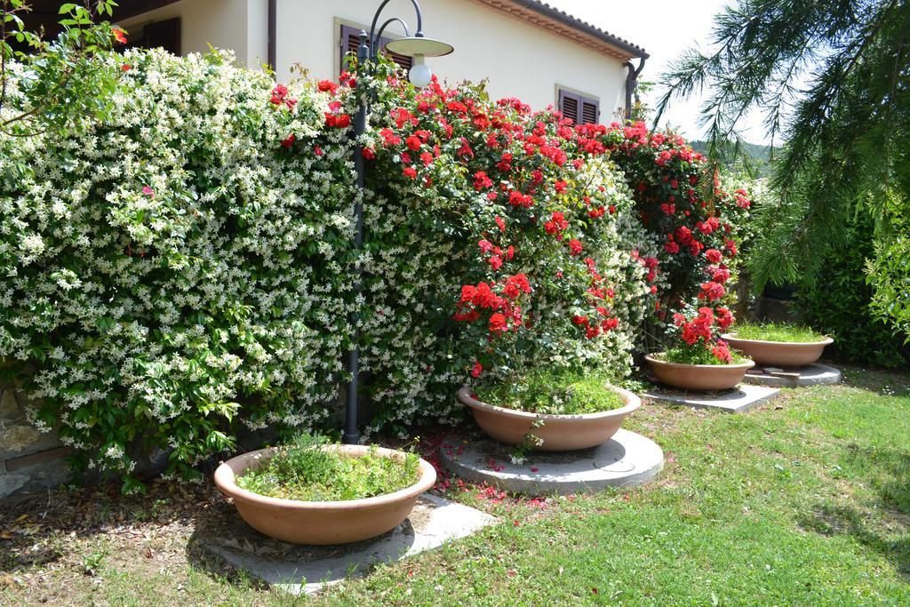 Agriturismo La Ghiraia Santa Luce Bagian luar foto
