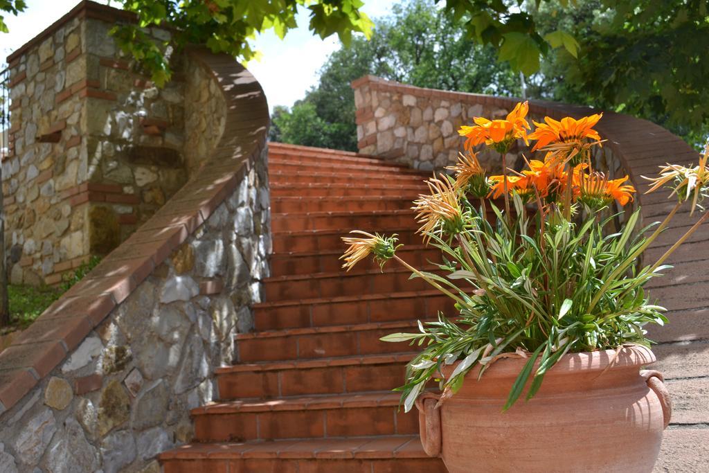 Agriturismo La Ghiraia Santa Luce Bagian luar foto